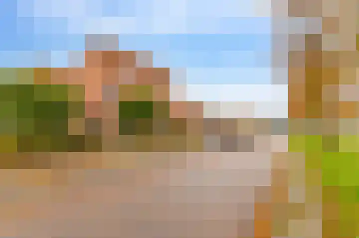 Rietlaan 26 Zeewolde thumbnail 46