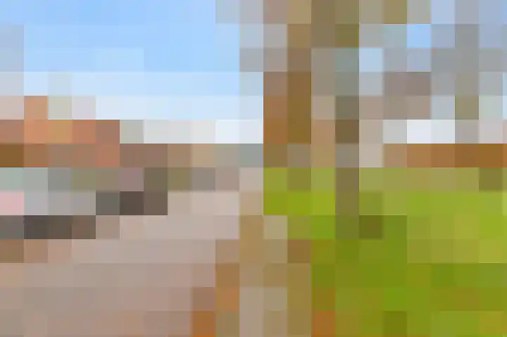 Rietlaan 26 Zeewolde thumbnail 47