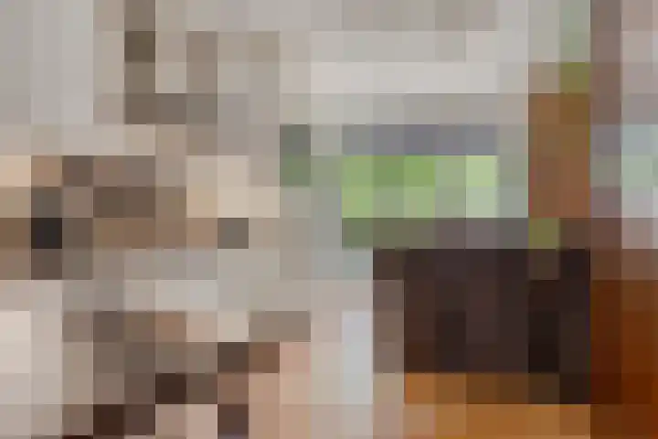 Rietlaan 34 Zeewolde thumbnail 17