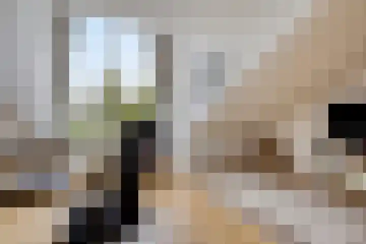 Rietlaan 34 Zeewolde thumbnail 26