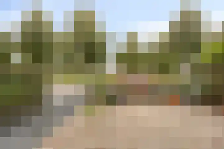 Rietlaan 34 Zeewolde thumbnail 8