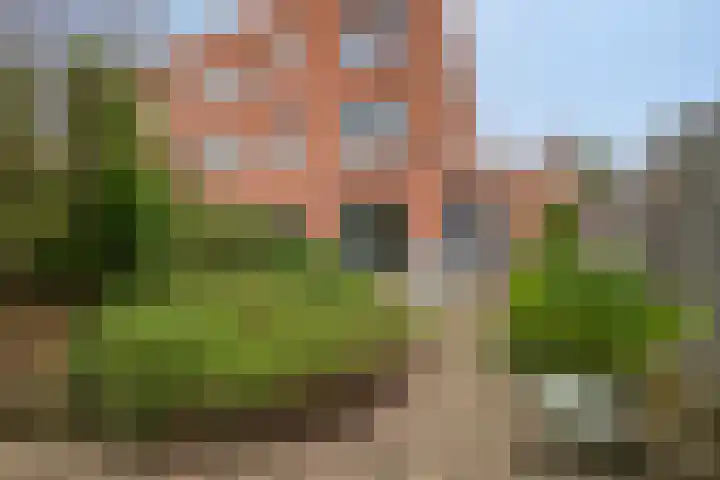 Rietlaan 40 Zeewolde foto 3