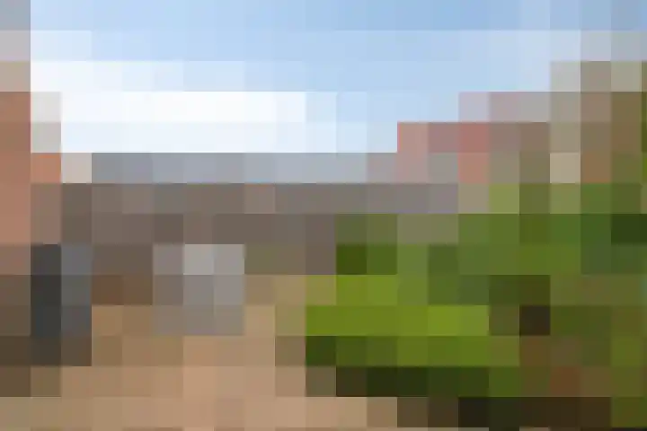 Rietlaan 40 Zeewolde thumbnail 31