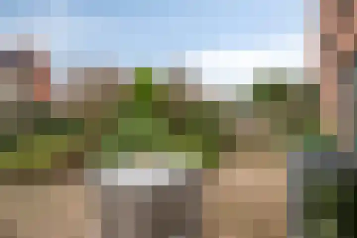 Rietlaan 40 Zeewolde thumbnail 32