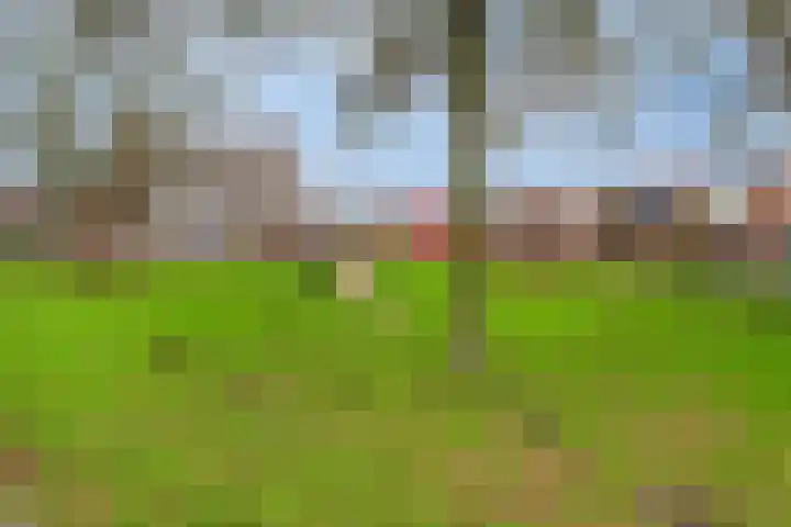Rietlaan 40 Zeewolde thumbnail 33