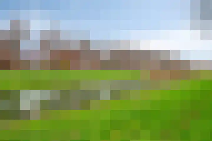 Rietlaan 40 Zeewolde thumbnail 35