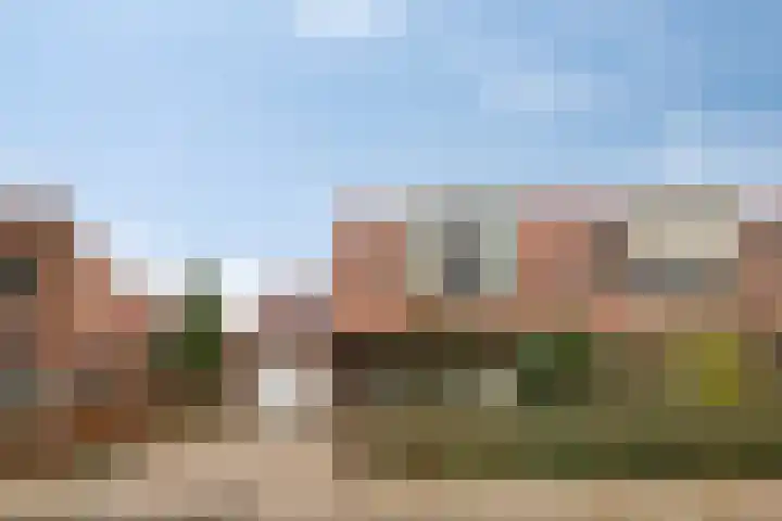 Rietlaan 40 Zeewolde thumbnail 4