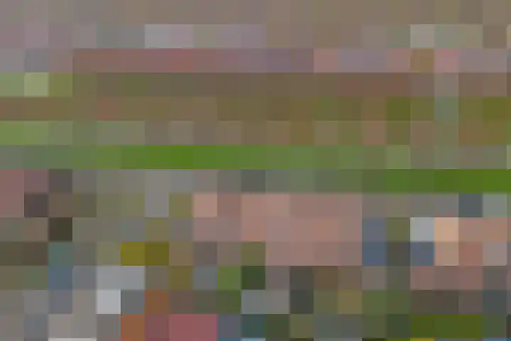 Rietlaan 64 Zeewolde thumbnail 35