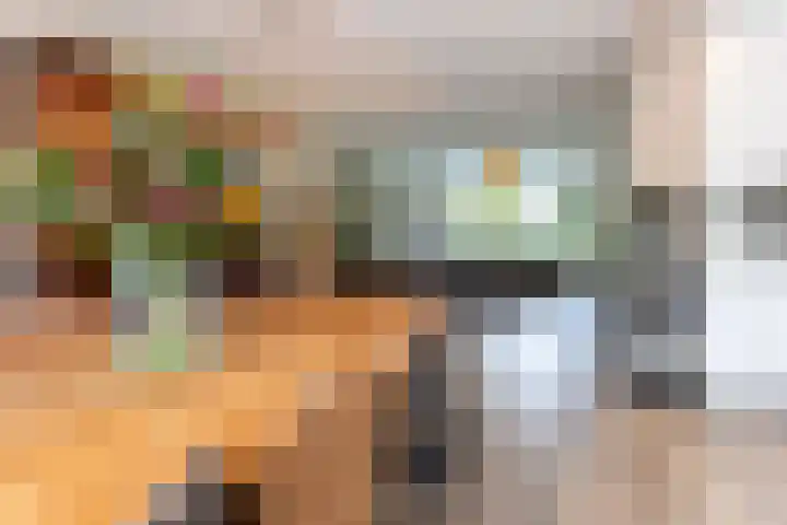 Rietland 13 Bergen op Zoom thumbnail 10