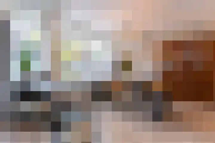 Rietland 13 Bergen op Zoom thumbnail 12