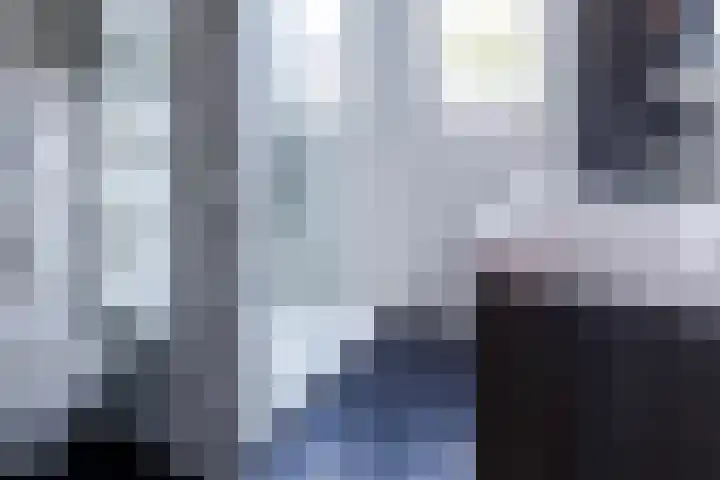 Rietland 13 Bergen op Zoom thumbnail 18