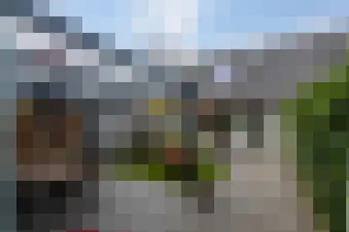 Rietland 13 Bergen op Zoom thumbnail 25