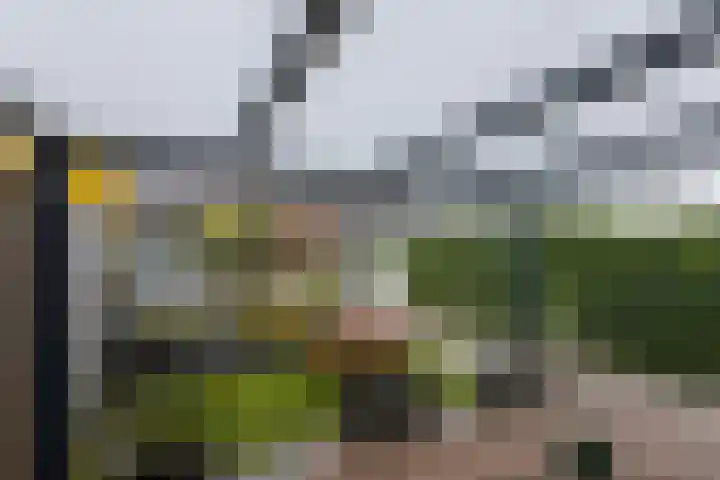 Rietland 13 Bergen op Zoom thumbnail 26
