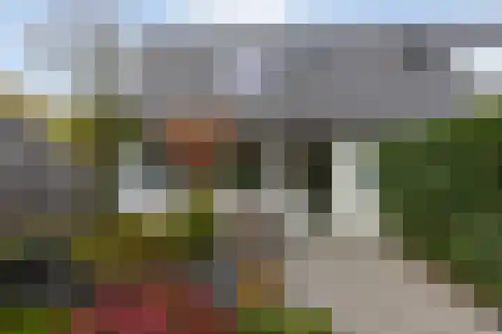 Rietland 13 Bergen op Zoom thumbnail 27