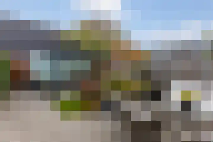 Rietland 13 Bergen op Zoom thumbnail 28