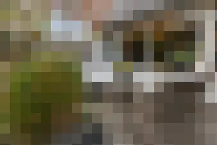 Rietland 13 Bergen op Zoom thumbnail 30