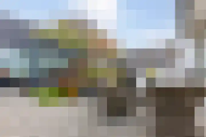 Rietland 13 Bergen op Zoom thumbnail 31
