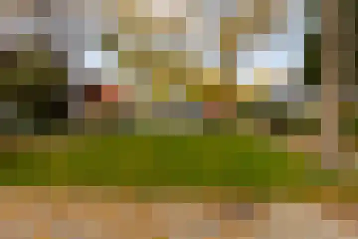 Rietland 13 Bergen op Zoom thumbnail 32