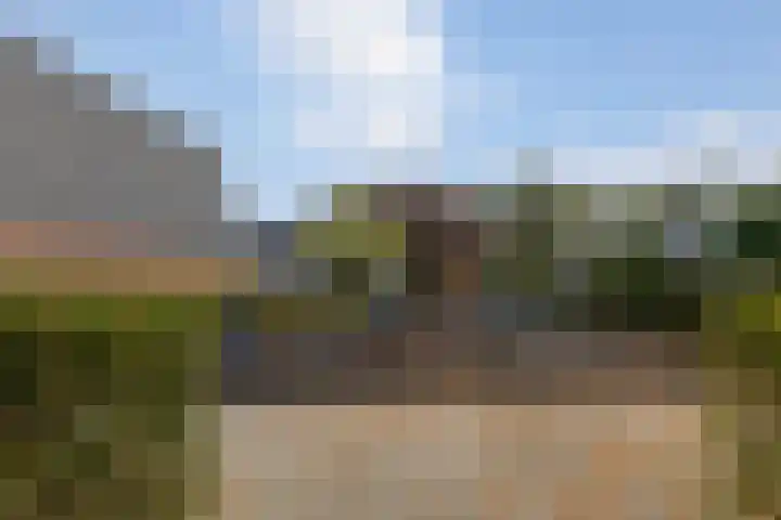 Rietland 13 Bergen op Zoom thumbnail 33
