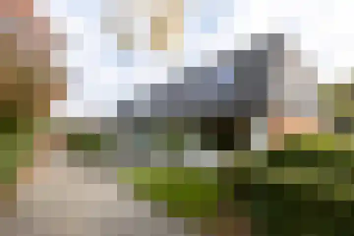 Rietland 13 Bergen op Zoom thumbnail 34