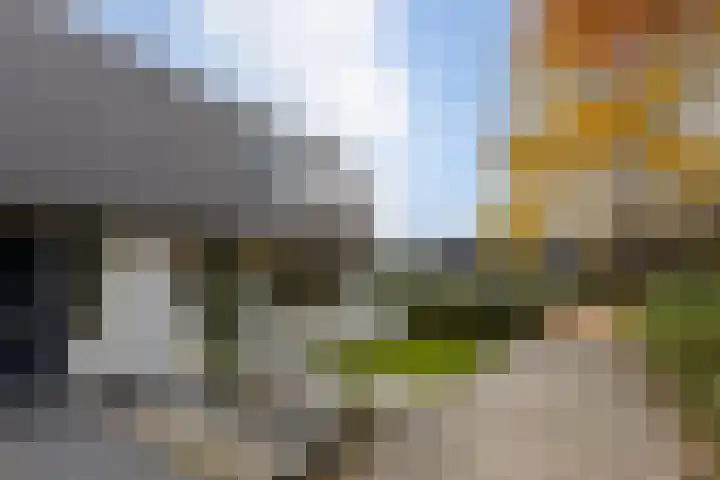 Rietland 13 Bergen op Zoom thumbnail 4