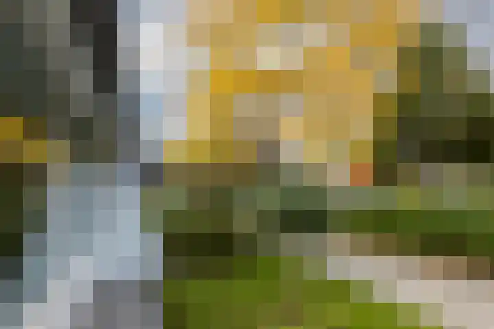 Rietland 13 Bergen op Zoom thumbnail 5