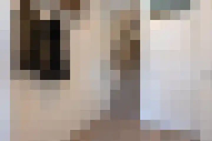 Rietland 13 Bergen op Zoom thumbnail 6