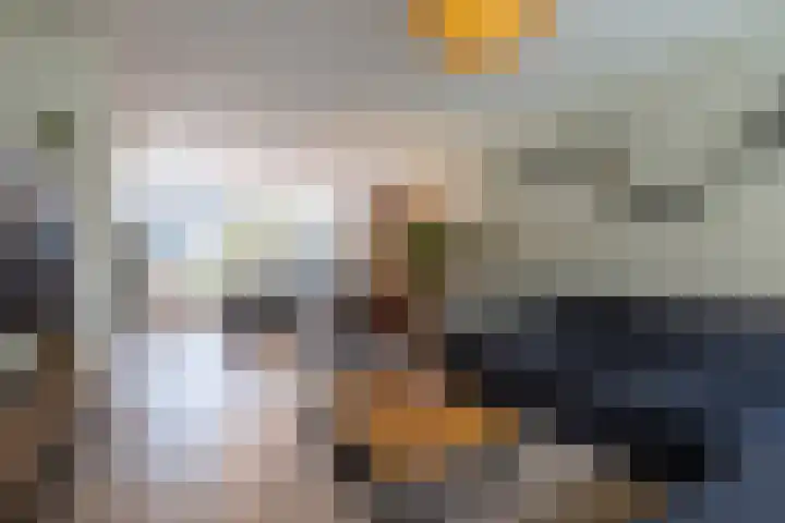 Rietland 13 Bergen op Zoom thumbnail 8