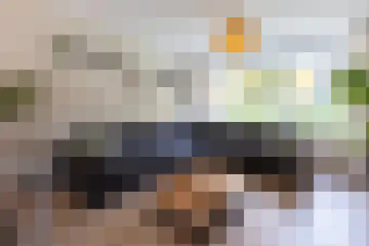 Rietland 13 Bergen op Zoom thumbnail 9