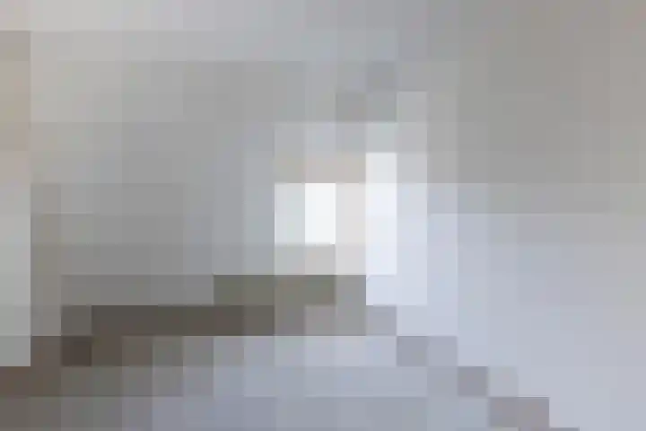 Rietland 16 Bergen op Zoom thumbnail 10