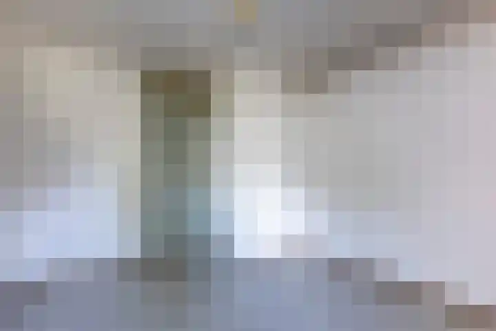 Rietland 16 Bergen op Zoom thumbnail 11
