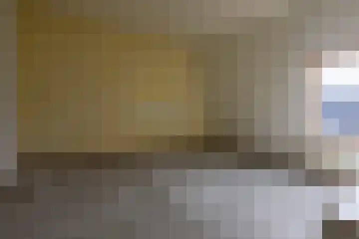 Rietland 16 Bergen op Zoom thumbnail 12