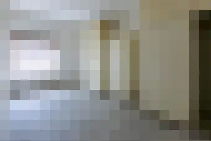 Rietland 16 Bergen op Zoom thumbnail 13