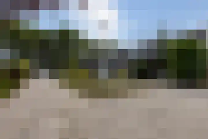 Rietland 16 Bergen op Zoom thumbnail 14