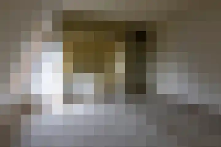 Rietland 16 Bergen op Zoom thumbnail 15