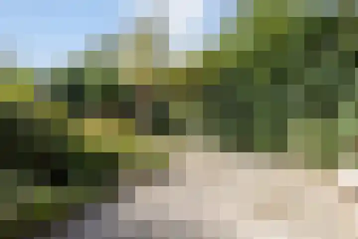 Rietland 16 Bergen op Zoom thumbnail 17