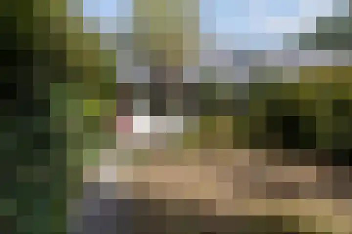 Rietland 16 Bergen op Zoom thumbnail 18