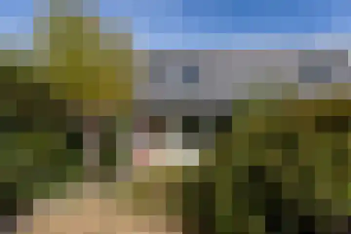 Rietland 16 Bergen op Zoom thumbnail 19