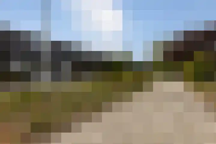 Rietland 16 Bergen op Zoom thumbnail 20