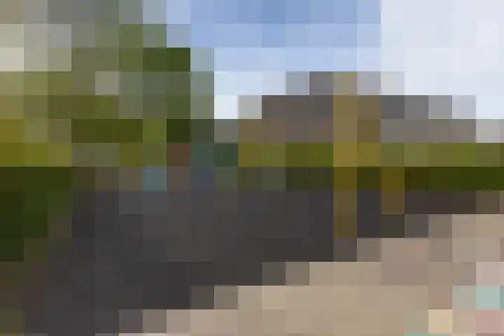 Rietland 16 Bergen op Zoom thumbnail 21