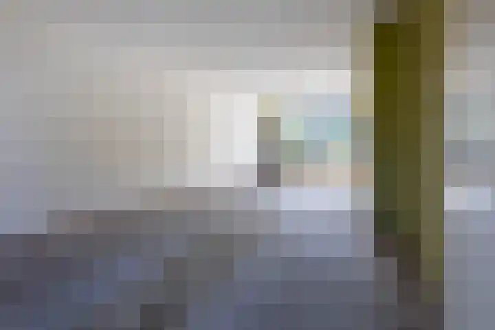 Rietland 16 Bergen op Zoom thumbnail 5