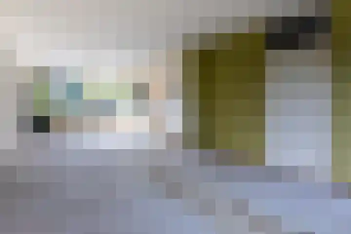 Rietland 16 Bergen op Zoom thumbnail 6