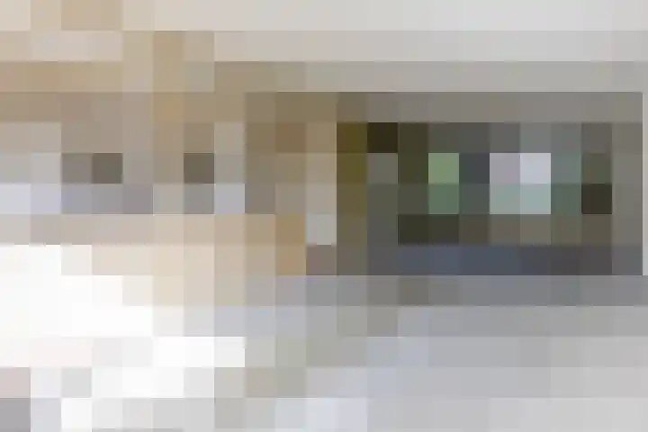 Rietland 16 Bergen op Zoom thumbnail 7