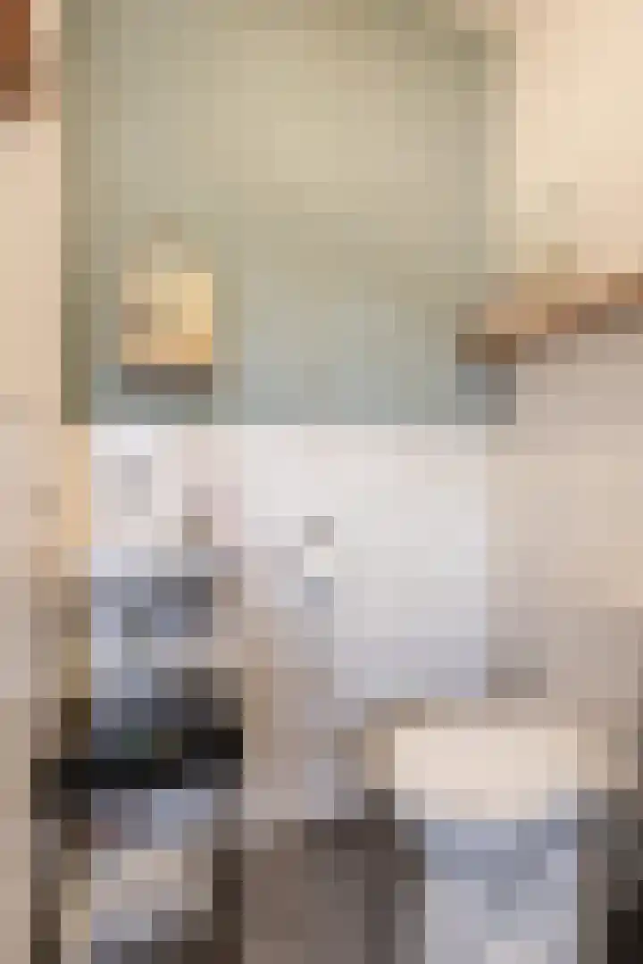 Rietland 19 Assendelft thumbnail 10