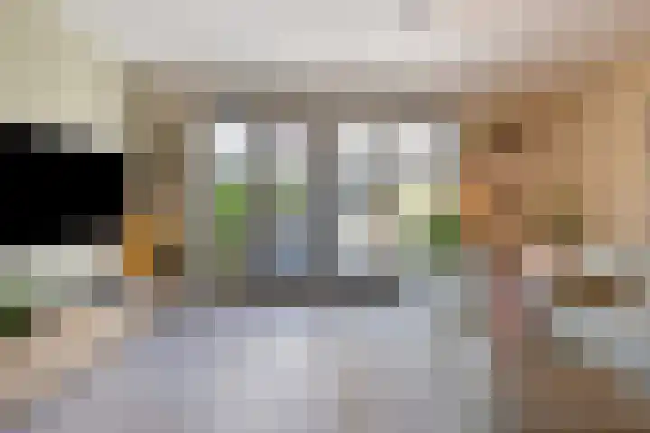Rietland 19 Assendelft thumbnail 12
