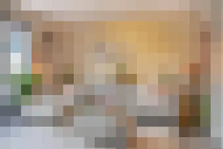 Rietland 19 Assendelft thumbnail 13