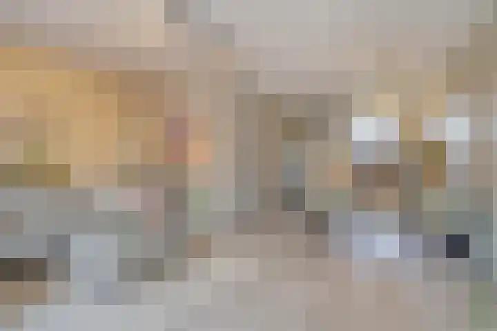 Rietland 19 Assendelft thumbnail 14