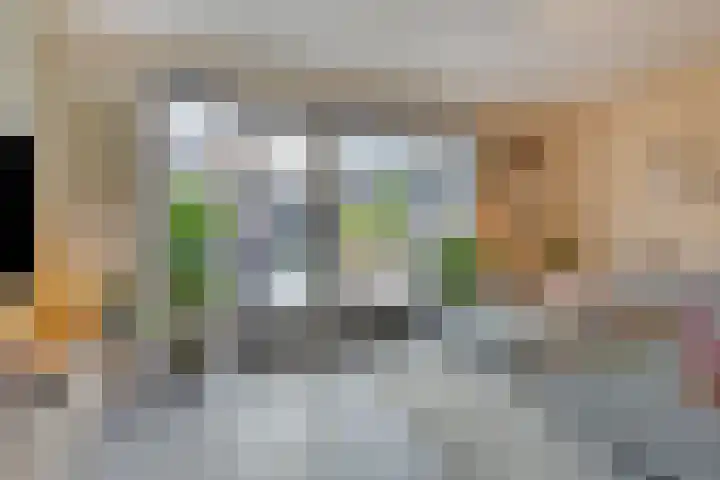 Rietland 19 Assendelft thumbnail 15