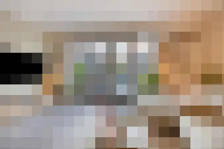 Rietland 19 Assendelft thumbnail 16