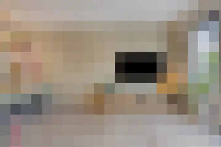Rietland 19 Assendelft thumbnail 17